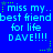 Blue background with repeated light blue text 'miss my.. best friend for life DAVE!!!' and green star accents in a pattern