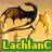 Animated icon shows a dragon, dog, and wolf silhouette with text changing from green to blue to white.