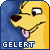 Yellow dog with pink tongue and dark brown nose against blue background, text 'GELERT' below in white pixelated letters.