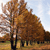 A pixelated static image of a tree with brown and orange foliage against a light blue sky with faint clouds, set on a grassy field with brown and green patches.