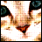 Pixelated cat face with brown and orange fur, dark eyes, and a red nose against white background.