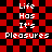 Red and black checkered background with white pixelated text reading "Life Has It's Pleasures" in two identical vertical