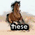 Four horse images arranged in a with text overlays: 'these', 'are', 'sophie C's', and 'horses' on each