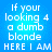 Blue background with white pixelated text reading 'If your looking 4 a dumb blonde HERE I AM' in four identical arranged in a
