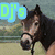 A pixelated image of a horse with dark brown and black coloring, wearing a halter, positioned next to text reading "Dj's" on the left and "Estate" on the right.