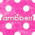 Pink pixelated background with four white circular shapes and the text 'ambberr' in white lowercase letters on a pink bar.