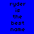 Blue background with pixelated text 'ryder is the best name' repeated across three , each having a cyan highlight on one word