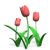 Animated contact sheet of 8 tulip frames showing subtle bloom progression with pink flowers and green stems on white background.