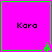Four identical pink squares with green borders display "Kara" text and small green pixel clusters at bottom corners.