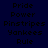 Pixelated text with dark blue background and white highlight boxes, displaying repeated words in a layout