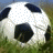 Animated soccer ball icon with sequential text changes and pink heart animations on a grass background.