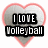 Five heart-shaped icons with red outlines and gray interiors display text about volleyball positions, actions, and equipment.