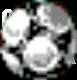 Black background with white 'Guest-book' text and three grayscale circular icons showing progressive size reduction from top to bottom.