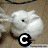 six pixelated images showing animal and letter icons with black-and-white text overlays on varied backgrounds