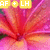 A pixelated floral image with pink and orange hues, featuring yellow text overlays at top-left and bottom-right.
