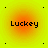 Four identical square icons arranged in a , each with a yellow-orange gradient background and the text 'Luckey' in black pixelated font centered on an orange circular highlight