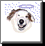 A dog's face with a halo, blue dots, and a gray background in four variations showing eye and mouth changes.