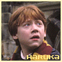 nine identical static images showing a young person with red hair in a maroon and gold robe, each labeled 'HARUKA' at the bottom