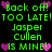 Green pixelated text on black background with pink and purple hearts, repeating phrases and names in a