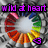 Pixelated icon with purple text 'wild at heart' above a circular rainbow gradient ring on gray background.