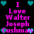 Pixelated text reads "I Love Walter Joseph Cushman" in pink with cyan hearts on black background, repeated twice in a