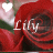 Red rose with white text 'Lily' overlaid, heart symbol in top-left corner, pixelated background.
