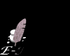 Animated sequence showing a feather and inkwell icon with 'E-MAIL' text, where the feather moves between positions relative to the inkwell across frames.