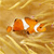 Animals icons for AIM, MSN, MySpace and Yahoo