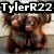 A four- displays a person with long brown hair, showing different poses and a hand gesture with a tattoo, overlaid with text reading "TylerR22 loves Monkeys"