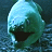 A 2x2 contact sheet of four animated frames from a buddy icon featuring aquatic imagery including a fish, shark silhouettes, and text elements on blue backgrounds.