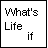 nine displays text fragments and a logo, with color variations in 'POINT?' and 'COASTER CHICK' across the