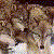 Aim Buddy Icons