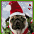 A pug wearing a red Santa hat with white trim and green foliage, set against a snowy background with animated falling snowflakes.