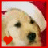 Animated dog wearing Santa hat with heart symbol changing color between red and green frames.