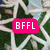 A star-shaped green icon with white outlines and a pink rectangle containing 'BFFL' text, displayed against a blurred background.
