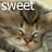 A cat's face with the word 'sweet' in white text on left and pink text on right, both showing slight pixelation.