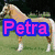 A four- of horse images with overlaid text labels, each showing a different horse in various poses and backgrounds