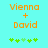 Two identical pixelated text displays with orange 'Vienna + David' and green plus signs on cyan background, differing in green symbol arrangement.