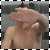 iconhell_idolinda_ferris1