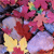 Pixelated abstract composition of overlapping shapes in pink, red, yellow, purple, and blue hues with no discernible figures or text.