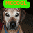 Pixelated dog with wide eyes in four , each with colored text overlay: green 'HCCOOL,', orange 'I LOVE U <3 <3', red 'I MISS U <3 <3'
