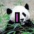 A four- of pixelated panda images with overlaid text and symbols, each showing distinct visual elements