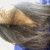 A pixelated image of a person with long brown hair and a blue garment, viewed from the side with a bright background.