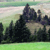 Pixelated landscape with dark green trees, light green grass, and a pale sky with horizontal bands of muted colors.