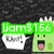 Green and cyan pixelated icons with 'LiamS156' text above, showing a character with open mouth and pink tongue against dark background.