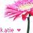 Pixelated image of a pink and red flower with a green stem, white background, and text reading 'katie' with a heart symbol.