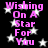 Black background with white stars and pink text reading "Wishing On A Star For You" repeated in two