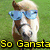 Pixelated image of a horse wearing blue sunglasses with green background and yellow text reading 'So Gangsta' at bottom.