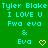 Green background with cyan text repeating 'Tyler Blake I LOVE U Fwa eva & Eva' and yellow heart or checkmark symbols.