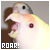 Pixelated close-up of a bird's head with open beak, red eye, and text 'ROAR!' in white block letters on brown background.